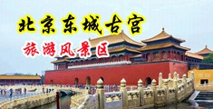 av偷拍农村厕所中国北京-东城古宫旅游风景区